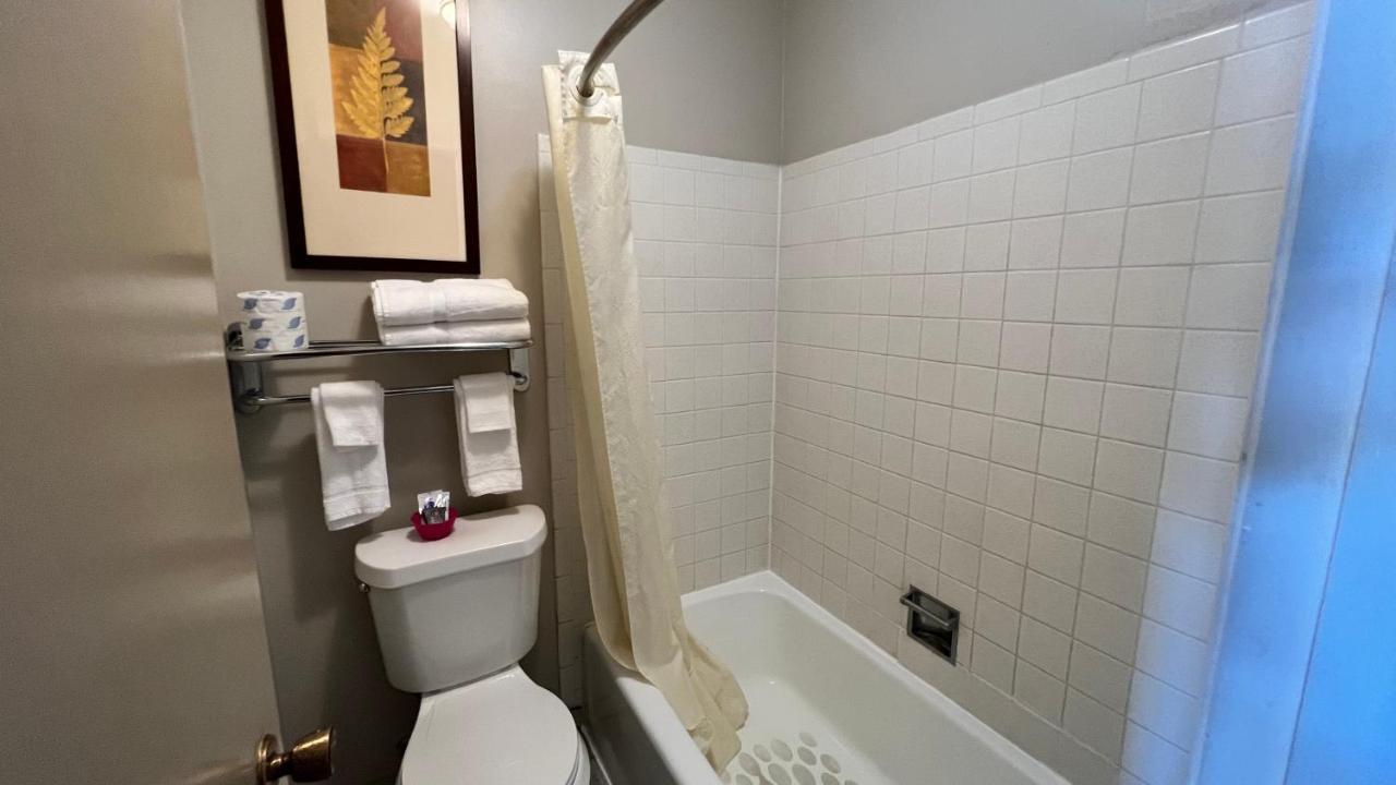 Capri Motel Avoca ภายนอก รูปภาพ